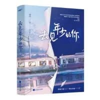 去见年少的你