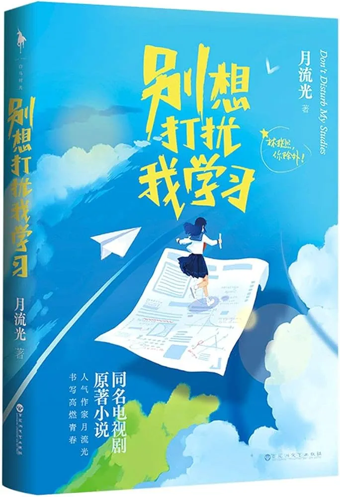 别想打扰我学习