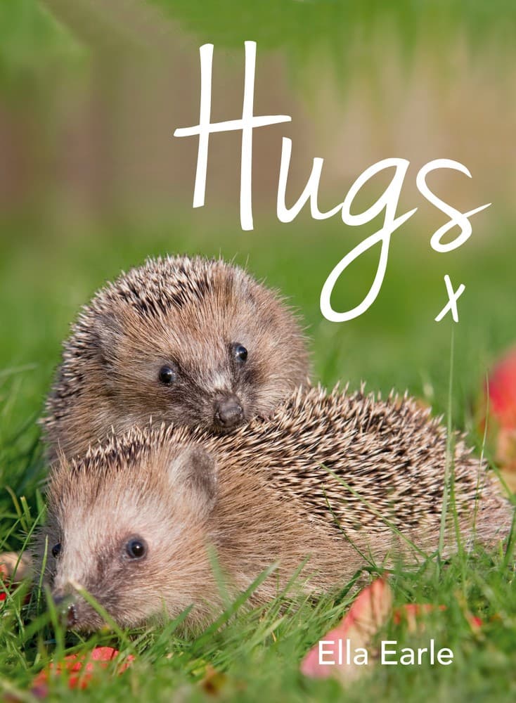 Hugs: A Photographic Celebration Of The Cutest Animal Couples