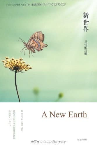 新世界：灵性的觉醒