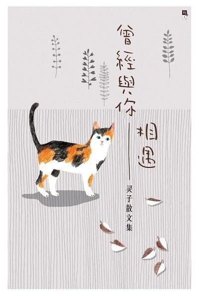 曾经与你相遇：灵子散文集