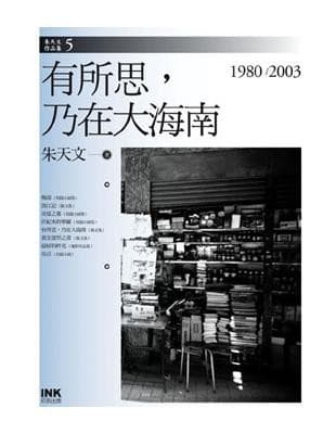 有所思，乃在大海南