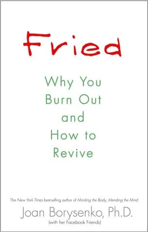 Fried: Why You Burn Out and how to Revive