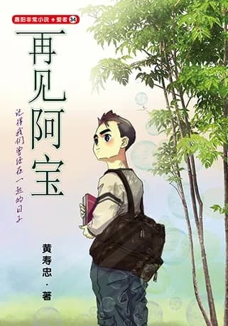再见阿宝