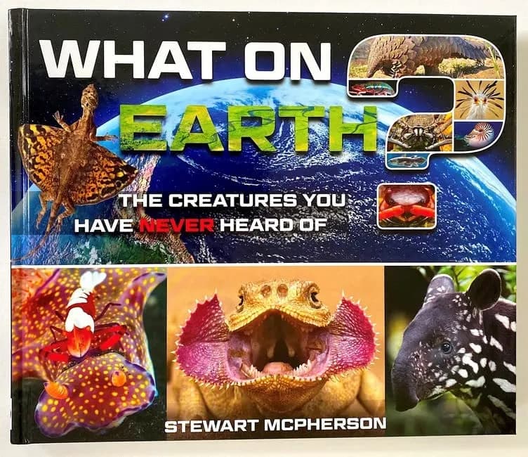 What on Earth?