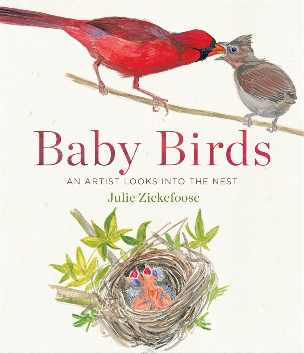 Baby Birds