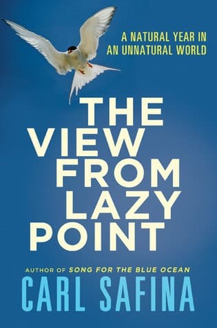 The View from Lazy Point