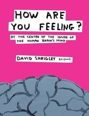 How Are You Feeling?: At the Centre of the Inside of The Human Brain’s Mind
