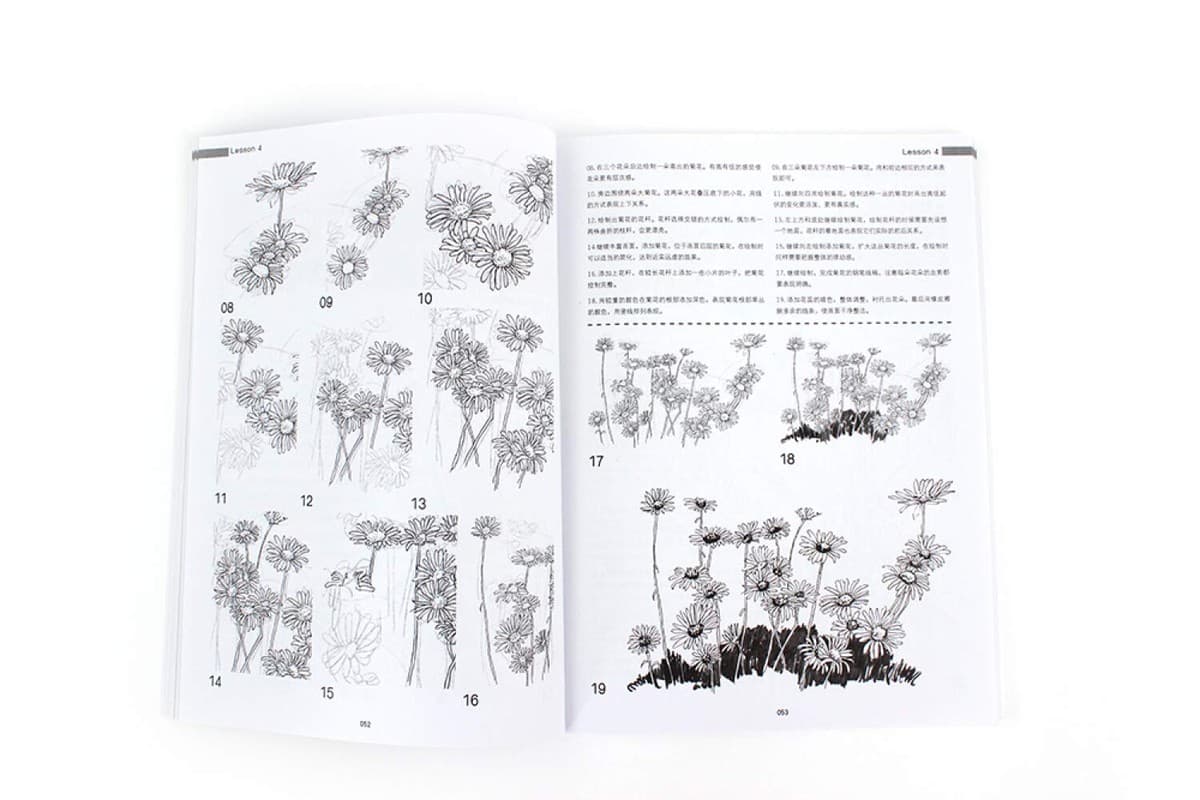 写给大家看的画画教学书：钢笔画技法