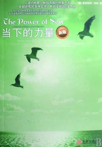 当下的力量