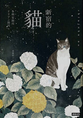 新宿的貓