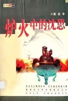 炉火中的沉思