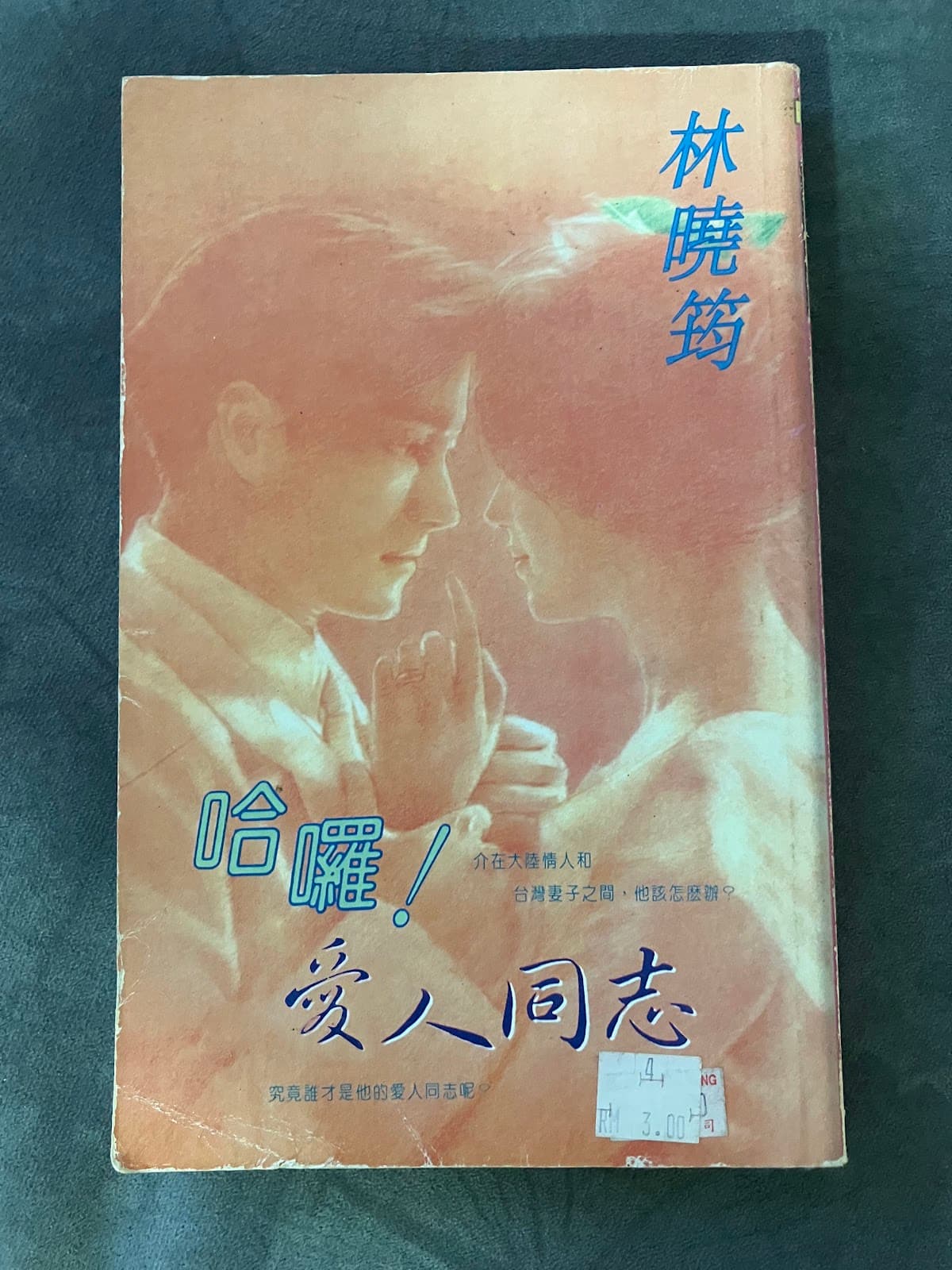 哈囉! 愛人同志