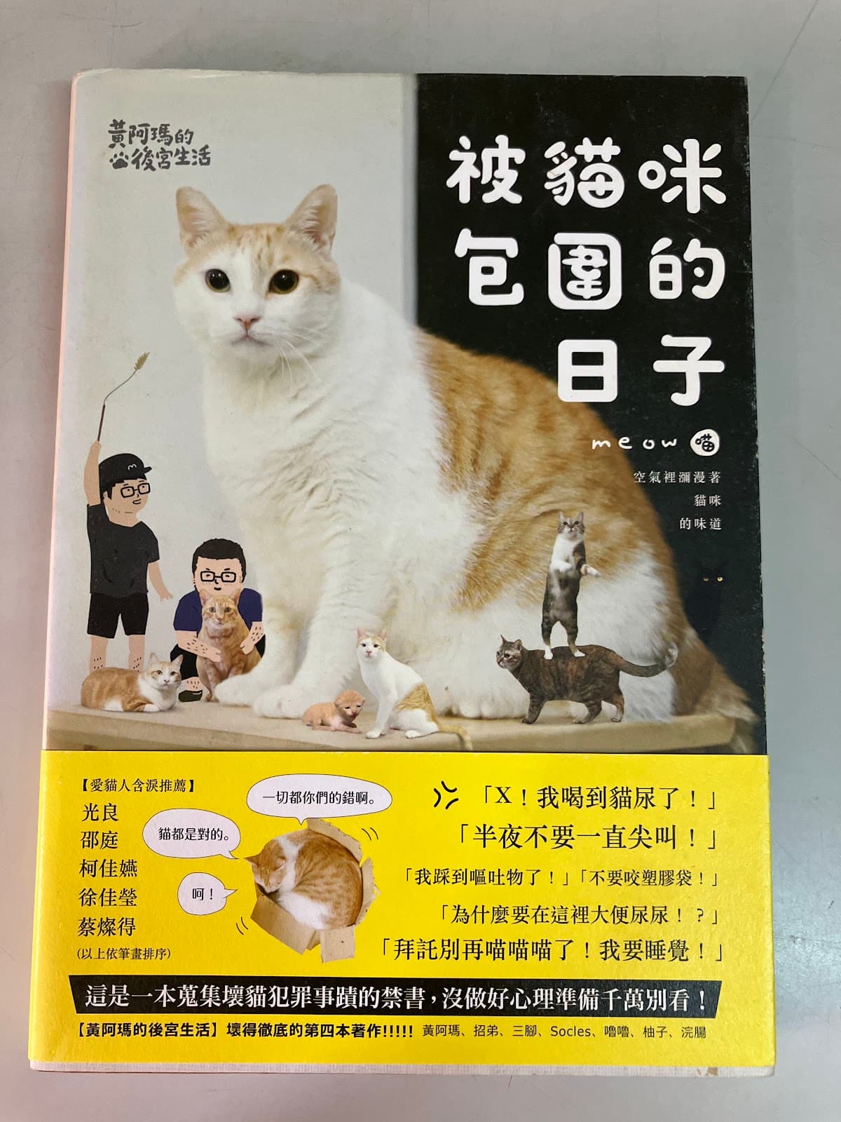 黃阿瑪的後宮生活：被貓咪包圍的日子