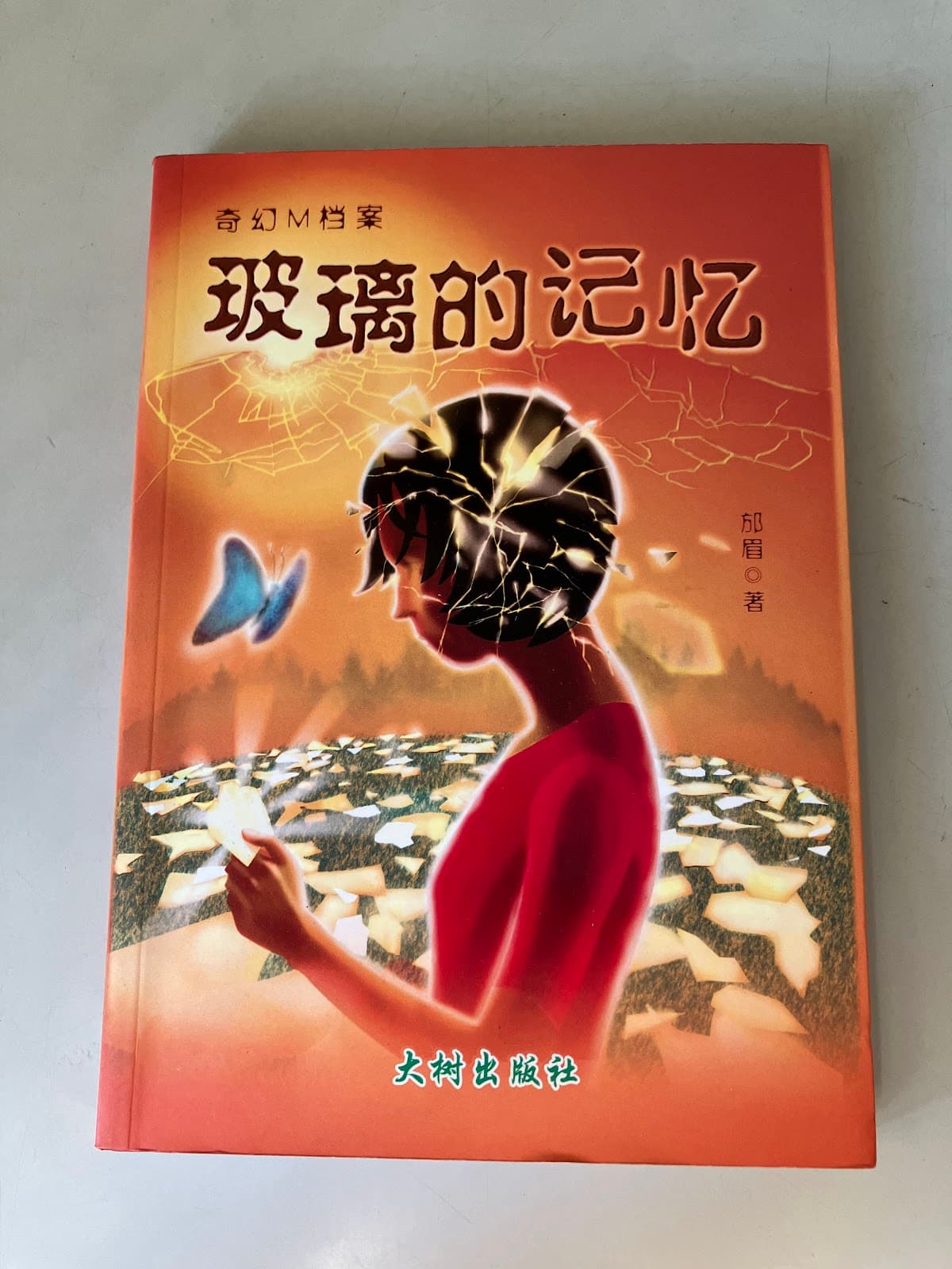 玻璃的记忆
