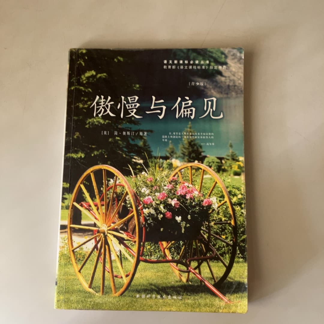 傲慢与偏见（青少版）