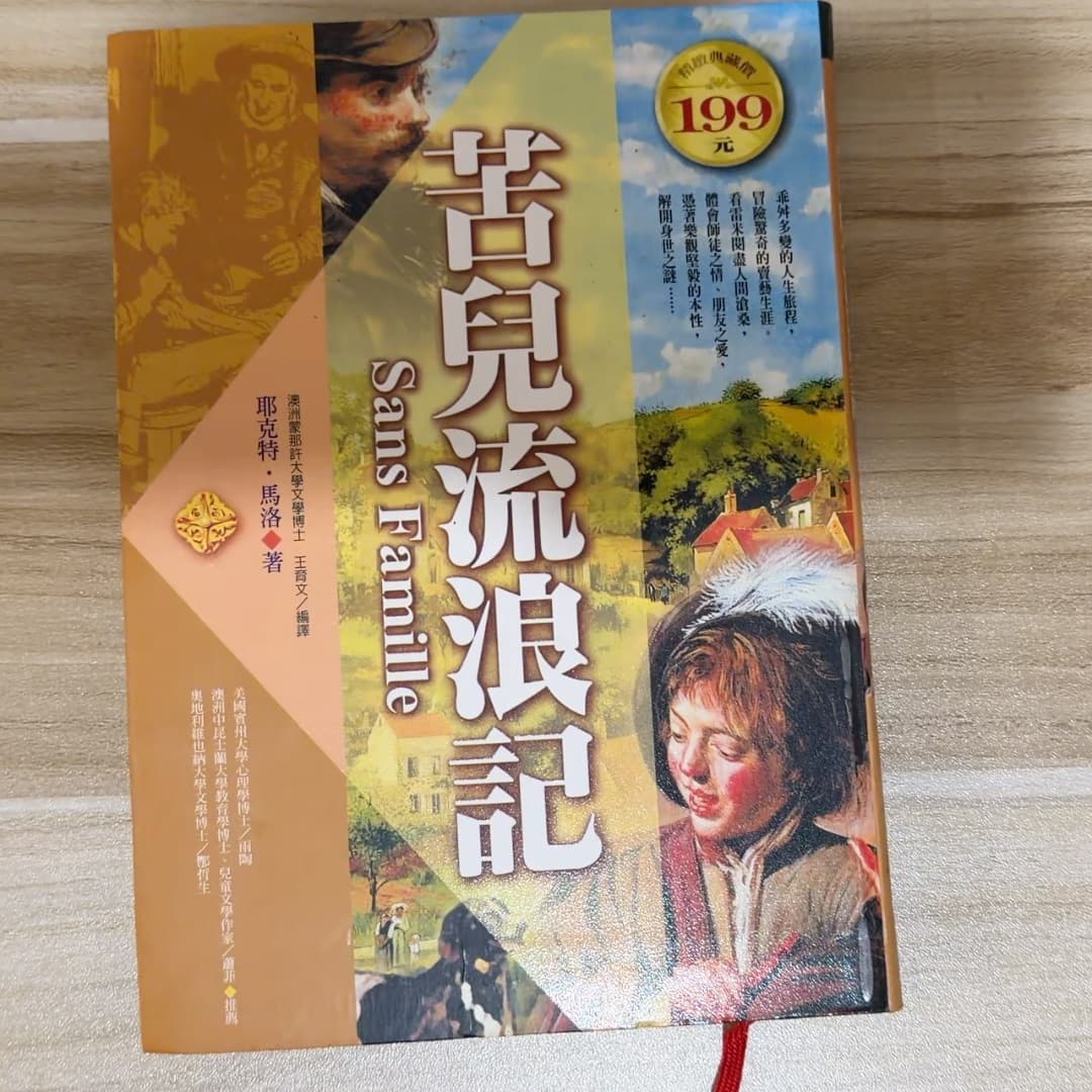 苦兒流浪記