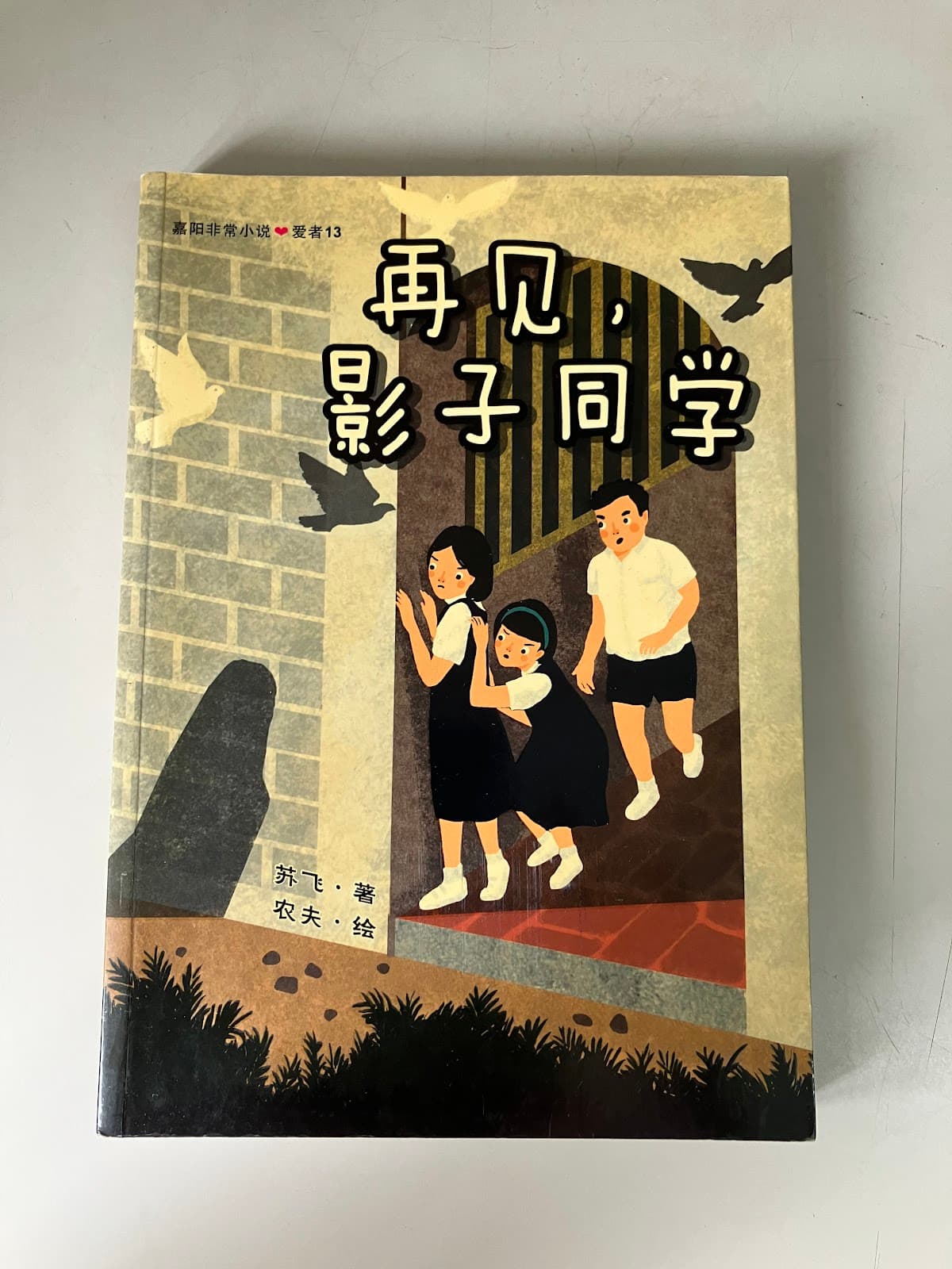 再见,影子同学