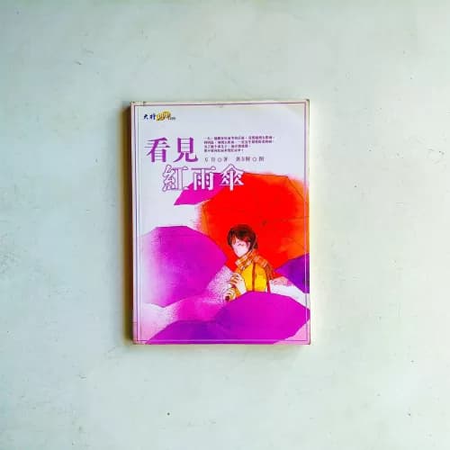 看见红雨伞